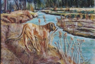 Brody Jake on Mootz Creek
