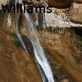 JRWilliams